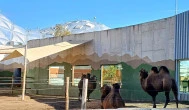 Pannon Park - Biodóm, Budapest