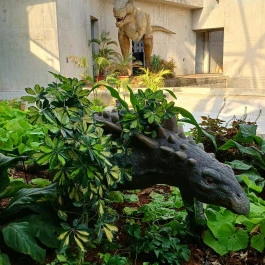 Pannon Park - Biodóm, Budapest - Külső kép