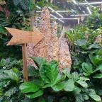 Papilonia Lepkevilág Budapest - Egyéb