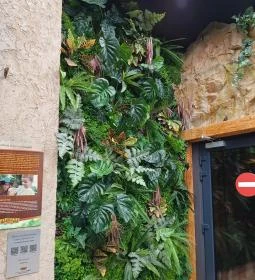 Papilonia Lepkevilág