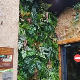 Papilonia Lepkevilág, Budapest - Egyéb