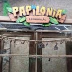 Papilonia Lepkevilág Budapest - Egyéb