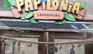 Papilonia Lepkevilág Budapest - Egyéb