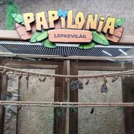 Papilonia Lepkevilág, Budapest - Egyéb