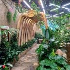 Papilonia Lepkevilág Budapest - Egyéb