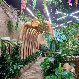 Papilonia Lepkevilág, Budapest - Egyéb