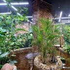 Papilonia Lepkevilág Budapest - Egyéb