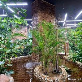 Papilonia Lepkevilág, Budapest - Egyéb