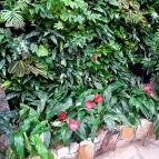 Papilonia Lepkevilág Budapest - Egyéb