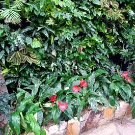 Papilonia Lepkevilág, Budapest - Egyéb