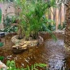 Papilonia Lepkevilág Budapest - Egyéb