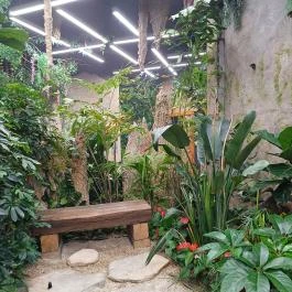 Papilonia Lepkevilág, Budapest - Egyéb