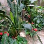 Papilonia Lepkevilág Budapest - Egyéb