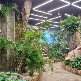 Papilonia Lepkevilág, Budapest - Egyéb