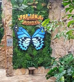 Papilonia Lepkevilág