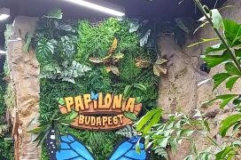 Papilonia Lepkevilág Budapest