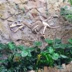 Papilonia Lepkevilág Budapest - Egyéb