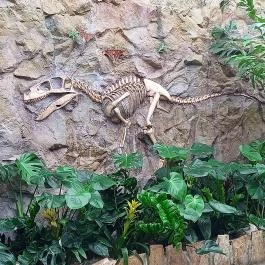 Papilonia Lepkevilág, Budapest - Egyéb