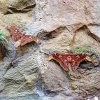 Papilonia Lepkevilág Budapest - Egyéb