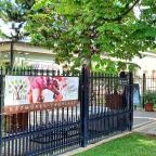 Park Étterem Berekfürdő - Egyéb