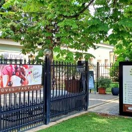 Park Étterem Berekfürdő - Egyéb