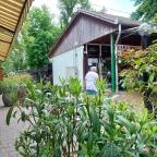 Park Étterem Berekfürdő - Egyéb