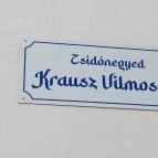 Pásti utcai orthodox zsinagóga Debrecen - Egyéb