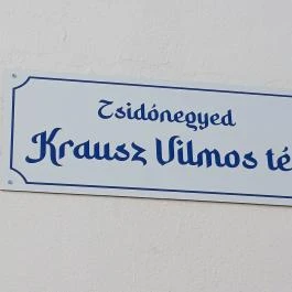 Pásti utcai orthodox zsinagóga Debrecen - Egyéb