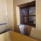 Pásti utcai orthodox zsinagóga Debrecen - Egyéb