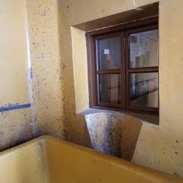 Pásti utcai orthodox zsinagóga Debrecen - Egyéb