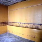 Pásti utcai orthodox zsinagóga Debrecen - Egyéb