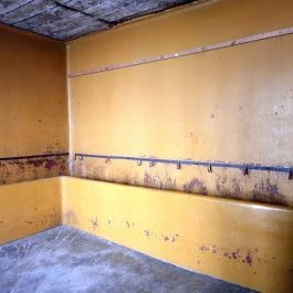 Pásti utcai orthodox zsinagóga Debrecen - Egyéb