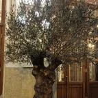 Pesti Vigadó Budapest - Egyéb