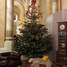 Pesti Vigadó, Budapest - Egyéb