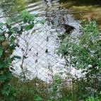 Petesmalmi Vidrapark Lábod - Egyéb