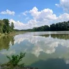 Petesmalmi Vidrapark Lábod - Egyéb