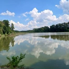 Petesmalmi Vidrapark, Lábod - Egyéb