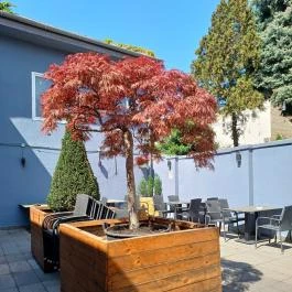 Posu Restaurant Budapest - Külső kép