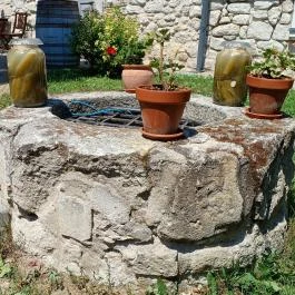 Préselő Pincészet és Vendégház, Erdőbénye - Külső kép
