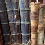 Püspöki Palota Vác - Egyéb