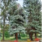 Püspöki Palota Vác - Egyéb