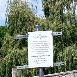 Rákóczi-kastély, Tolcsva - Külső kép
