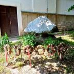 Református templom Kunhegyes - Egyéb