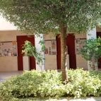 Rippl-Rónai Emlékház és Látogatóközpont Kaposvár - Egyéb