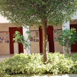 Rippl-Rónai Emlékház és Látogatóközpont, Kaposvár - Egyéb