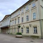 Rippl-Rónai Megyei Hatókörű Városi Múzeum Kaposvár - Egyéb