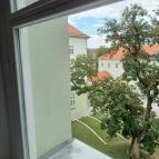 Rippl-Rónai Megyei Hatókörű Városi Múzeum Kaposvár - Egyéb