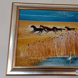 Rónai malom, Karcag - Egyéb