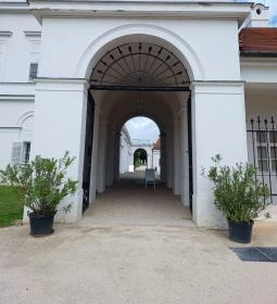 Sándor-Metternich-kastély