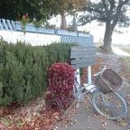 Sárga Borház Vendéglő Mezőzombor - Egyéb